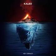 El texto musical BACKBONE de KALEO también está presente en el álbum Surface sounds (2021)