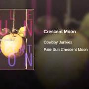 El texto musical FIRST RECOLLECTION de COWBOY JUNKIES también está presente en el álbum Pale sun, crescent moon (1993)