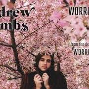 El texto musical TOO STONED TO CRY de ANDREW COMBS también está presente en el álbum Worried man (2012)