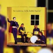 El texto musical BOSNIA de THE CRANBERRIES también está presente en el álbum To the faithful departed (1995)