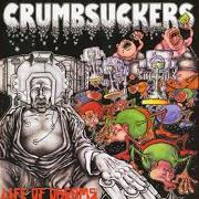 El texto musical LONGEST WAR de CRUMBSUCKERS también está presente en el álbum Life of dreams (1986)