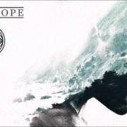 El texto musical MINOR WHITE de FORT HOPE también está presente en el álbum The flood flowers, vol. 1 (2017)