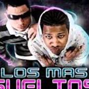 El texto musical QUE TE VAYA BIEN de JOWELL & RANDY también está presente en el álbum Los más sueltos del reggaetón (2007)