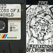 El texto musical A LIFE ASTRAY de CYNIC también está presente en el álbum Reflections of a dying world - demo (1989)