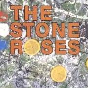 El texto musical FOOLS GOLD de THE STONE ROSES también está presente en el álbum The stone roses (2004)