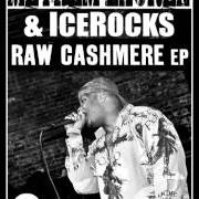 El texto musical GUNS IN THE PLAYPEN de MEYHEM LAUREN también está presente en el álbum Raw cashmere (2013)