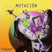 El texto musical LOS ZAPATOS de VAKERO también está presente en el álbum Yo (2015)