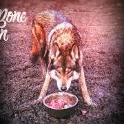El texto musical SIRENS de RAG'N'BONE MAN también está presente en el álbum Wolves (2014)