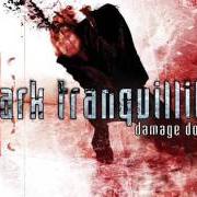 El texto musical FORMAT C: FOR CORTEX de DARK TRANQUILLITY también está presente en el álbum Damage done (2002)