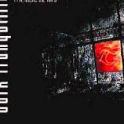 El texto musical PUNISH MY HEAVEN de DARK TRANQUILLITY también está presente en el álbum Yesterworld (2009)