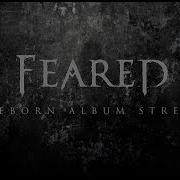 Reborn Reborn