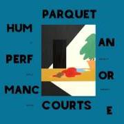 El texto musical PARAPHRASED de PARQUET COURTS también está presente en el álbum Human performance (2016)