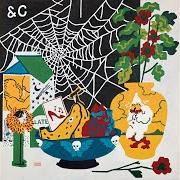 El texto musical BLACK WIDOW SPIDER de PARQUET COURTS también está presente en el álbum Sympathy for life (2021)