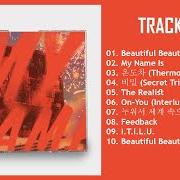 El texto musical 온도차 (THERMOMETER) de ONF también está presente en el álbum Onf:my name (2021)