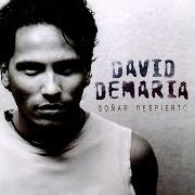 El texto musical PERDIDAMENTE ENAMORADO de DAVID DEMARIA también está presente en el álbum Soñar despierto (1999)