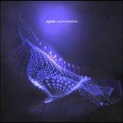 El texto musical GRANDE TORINO de AGORIA también está presente en el álbum Impermanence (2011)