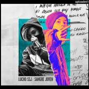 El texto musical PA' BRILLAR de LUCHO SSJ también está presente en el álbum Sangre joven (2018)