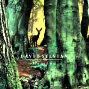 El texto musical EMILY DICKINSON de DAVID SYLVIAN también está presente en el álbum Manafon (2009)