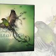 El texto musical SICARIO de GREENFINCH también está presente en el álbum From soul to souls (2019)