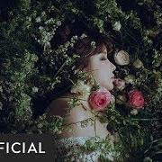 El texto musical INTERNAL COMBUSTION ENGINE de PARK BOM también está presente en el álbum Spring (2019)