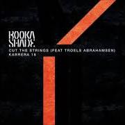 El texto musical CONFESSIONS de BOOKA SHADE también está presente en el álbum Cut the strings (2018)