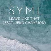 El texto musical THE BIRD de SYML también está presente en el álbum Syml (2019)
