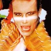 El texto musical MOHAIR LOCKEROOM PINUP BOYS de ADAM AND THE ANTS también está presente en el álbum Super hits