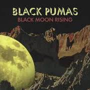 El texto musical OLD MAN de BLACK PUMAS también está presente en el álbum Black pumas (2020)