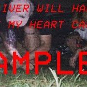 El texto musical SHATTERED AMETHYST de $UICIDEBOY$ también está presente en el álbum My liver will handle what my heart can't (2016)