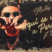Sin maldy no hay perreo