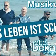 El texto musical VERSCHWOREN de ALTE BEKANNTE también está presente en el álbum Das leben ist schön (2019)
