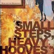 El texto musical SKINNED KNEES AND GAPPED TEETH de DEAR AND THE HEADLIGHTS también está presente en el álbum Small steps, heavy hooves (2007)