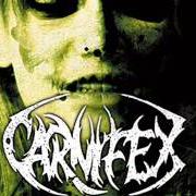 El texto musical IN COALESCE WITH FILTH AND FAITH de CARNIFEX también está presente en el álbum The diseased and the poisoned (2008)