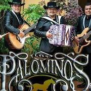 El texto musical TE SIGO EXTRAÑANDO de LOS PALOMINOS también está presente en el álbum Siente el amor (2013)