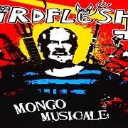 El texto musical MR. BIG HEAD de BIRDFLESH también está presente en el álbum Mongo musicale (2006)