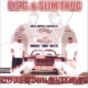 El texto musical THUG IT UP de E.S.G. & SLIM THUG también está presente en el álbum Boss hogg outlaws (2002)