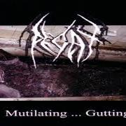 El texto musical SWARMING VILE de DECAY también está presente en el álbum Gutting (2001)