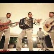 El texto musical EL MUCHACHO EDUCADO de LOS TITANES DE DURANGO también está presente en el álbum Salucita de la buena (2013)