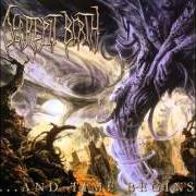 El texto musical SHROUD OF IMPURITY de DECREPIT BIRTH también está presente en el álbum ...And time begins (2003)