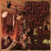 El texto musical DRENCHED IN GASOLINE de PUTRID PILE también está presente en el álbum Collection of butchery (2003)