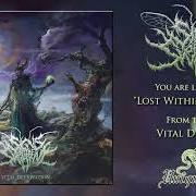 El texto musical LOST WITHIN REFLECTION de SIGNS OF THE SWARM también está presente en el álbum Vital deprivation (2019)