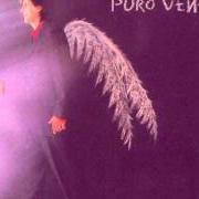 El texto musical VOLANDO VOY de KIKO VENENO también está presente en el álbum Puro veneno (1998)