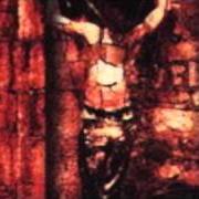 El texto musical SCARRED BACK (THE DOWNFALL PART 2) de INSIDE CONFLICT también está presente en el álbum Unearthed from wonderland (2001)
