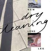 El texto musical EVERY DAY CARRY de DRY CLEANING también está presente en el álbum New long leg (2021)