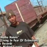 El texto musical RUFF SHIT de NEFERTITI también está presente en el álbum L.I.F.E.: living in fear of extinction (1997)
