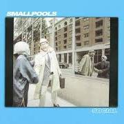El texto musical SOCIAL de SMALLPOOLS también está presente en el álbum So social (2018)