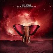 El texto musical NIGHT WITCH de TOM MORELLO también está presente en el álbum The atlas underground fire (2021)