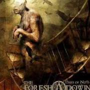 El texto musical DEATH IS OUR FREEDOM de THE FORESHADOWING también está presente en el álbum Days of nothing (2007)