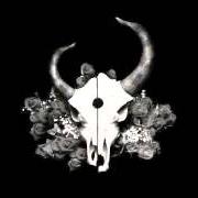 El texto musical LATEST AND THE LAST de DEMON HUNTER también está presente en el álbum Summer of darkness (2004)