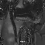El texto musical FEAR IS NOT MY GUIDE de DEMON HUNTER también está presente en el álbum Peace (2019)
